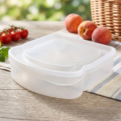 Portable Plastic Sandwich Lunch Box with Secure Lid for School and Travel.